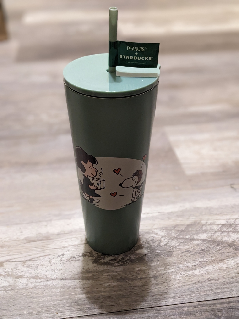 Starbucks X Snoopy Steel Cup